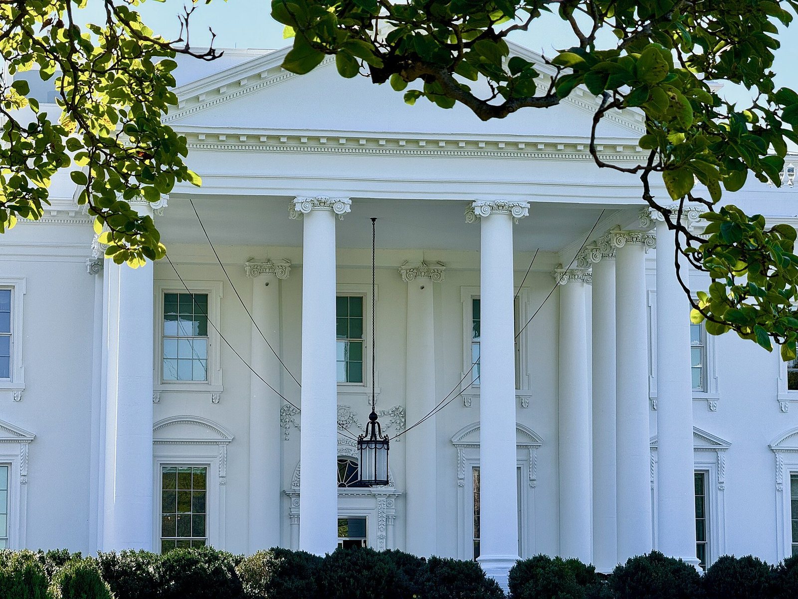 The columns of the White House North Portico framed by tree branches